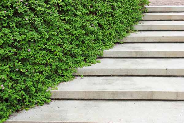 Montée d'escalier de jardin en pierre....